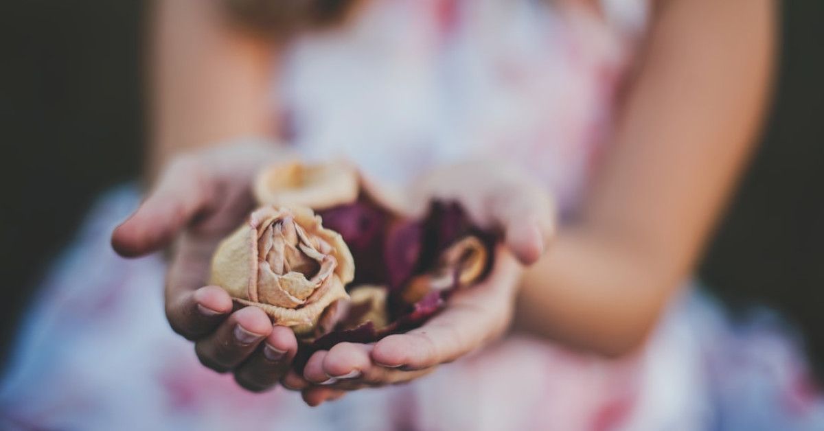 Step-by-step guide to making herbal oils and healing balms