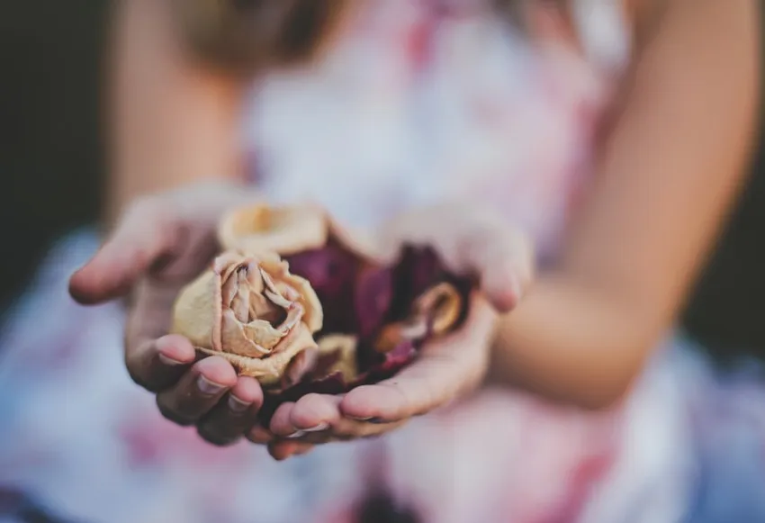Step-by-step guide to making herbal oils and healing balms