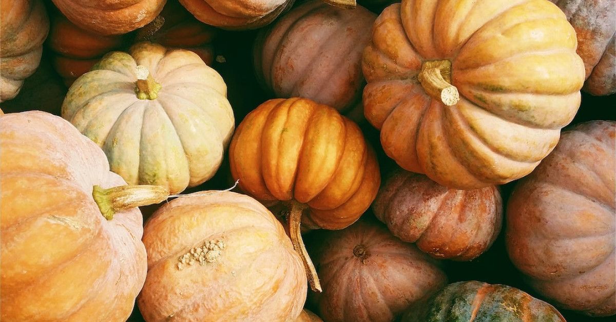 "12 Essential Tips for Smooth Lips - Fall Skincare Guide"