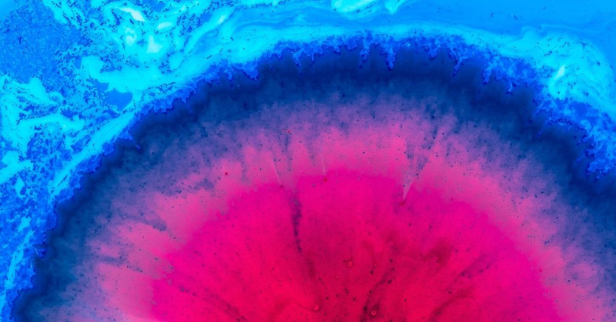 "Organic homemade hair care soap color variety guide"