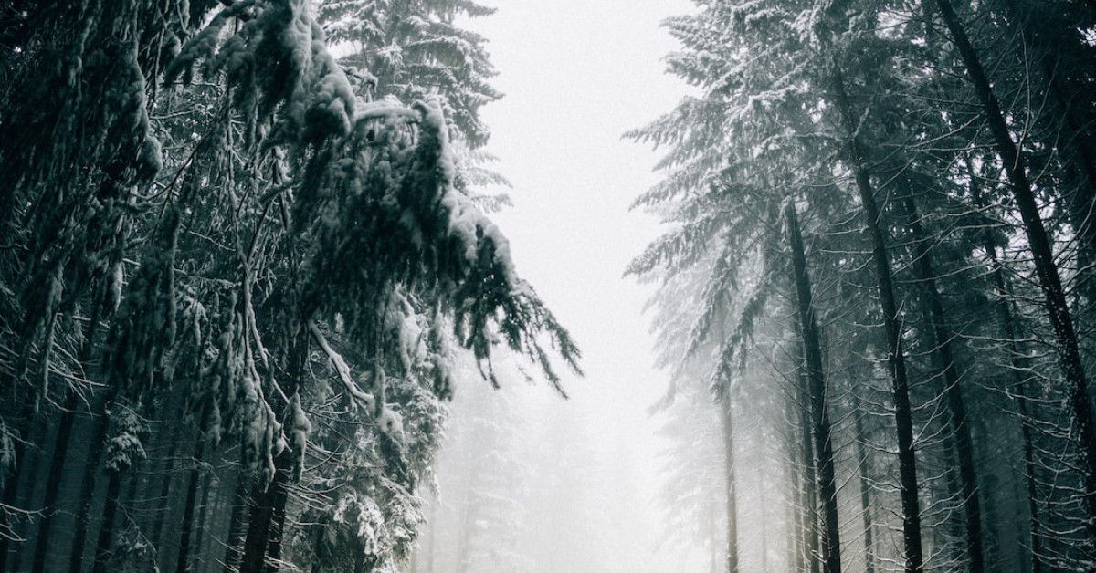 Effective tips for healthier winter hair - Icerik Planla.