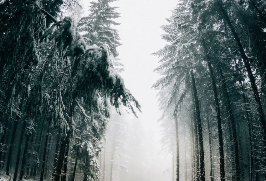 Effective tips for healthier winter hair - Icerik Planla.
